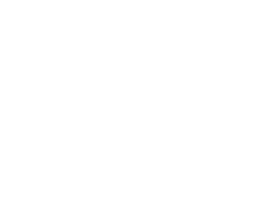 Al Zain